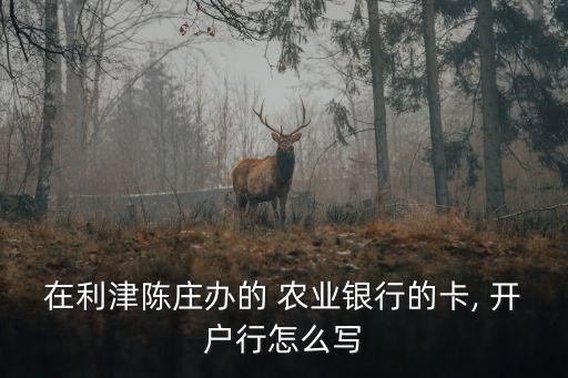 农业银行开户表怎么写,濮阳县庆祖镇农业银行的开户怎么写