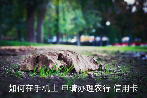 农业信用卡怎么邀请人申请