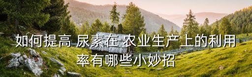 农业尿素怎么做,今日农业用尿素出厂价