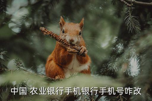 农业银行app账号怎么更改