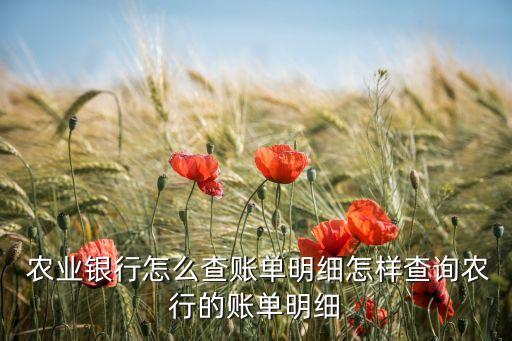 农业银行防控清单怎么查