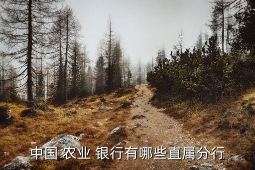 中国 农业 银行有哪些直属分行