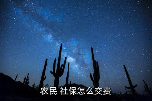 农业户个人社保怎么缴纳,农业个人如何交社保