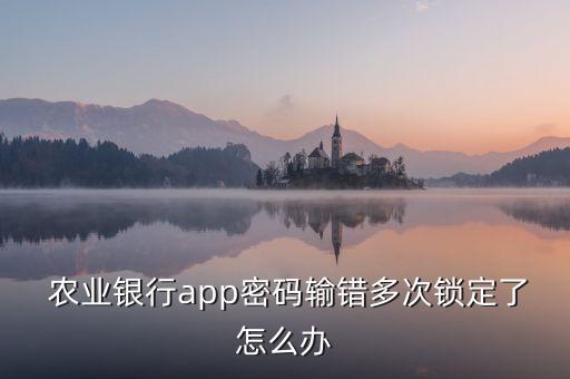 农业银行手机银行怎么解锁