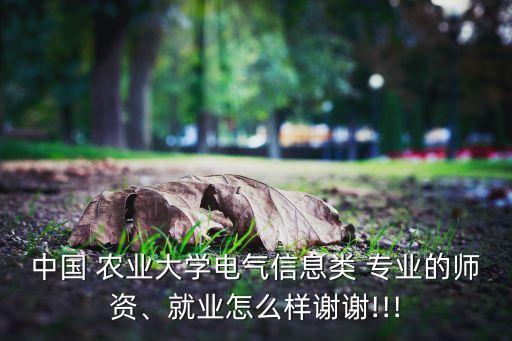 农业大学信电专业怎么样