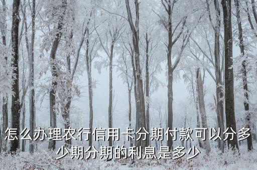 农业银行怎么设置分期免息
