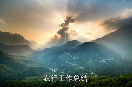农业银行背景分析报告怎么写,数据分析报告分析背景怎么写