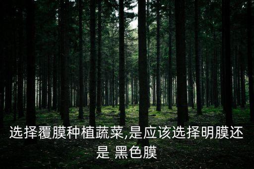 选择覆膜种植蔬菜,是应该选择明膜还是 黑色膜