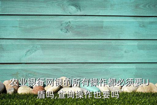 怎么查农业u盾,农业k宝和u盾一样吗