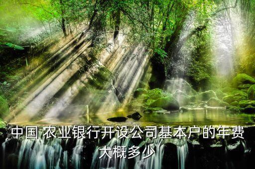 中国 农业银行开设公司基本户的年费大概多少