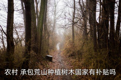农村 承包荒山种植树木国家有补贴吗