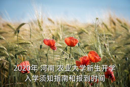 河南农业大学怎么招生