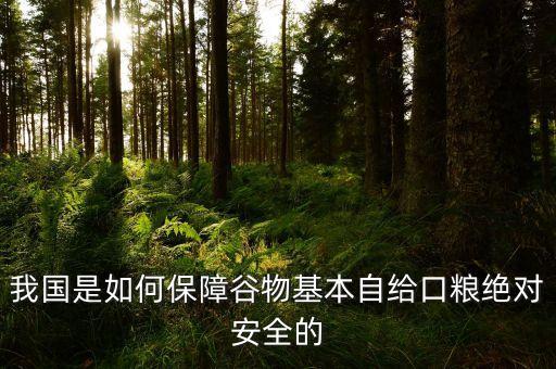 我国是如何保障谷物基本自给口粮绝对安全的