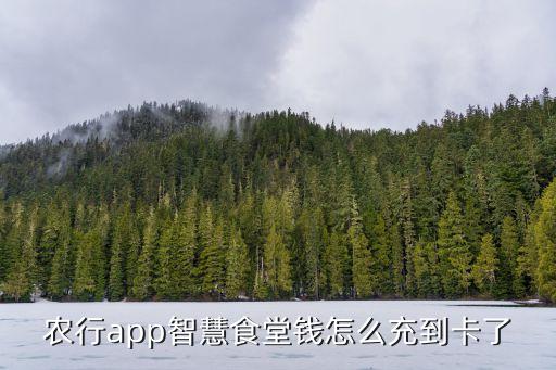 广西农业银行充饭卡怎么充,农业银行app充饭卡的流程