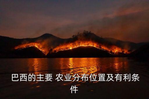 巴西是怎么发展成农业的