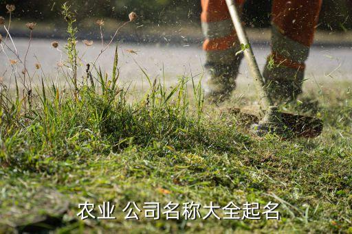关于羌字的农业公司怎么取名,农业公司怎样取名