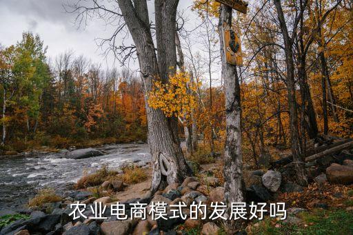  农业电商模式的发展好吗