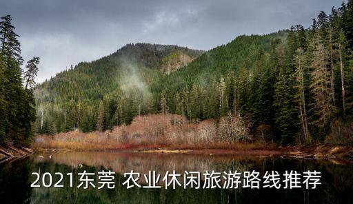 新农业怎么玩