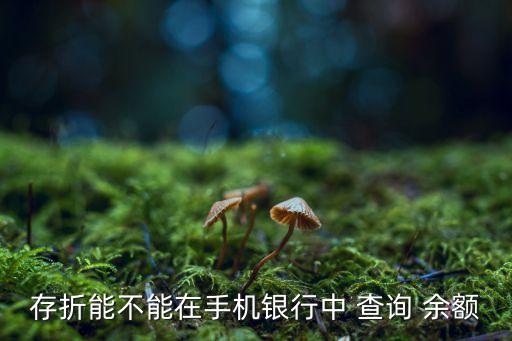 存折能不能在手机银行中 查询 余额