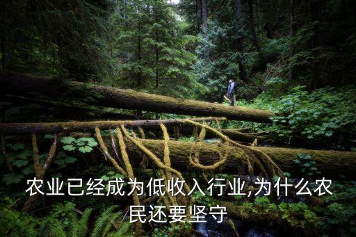今年农业行业怎么样知乎,农业这个行业发展前景怎么样