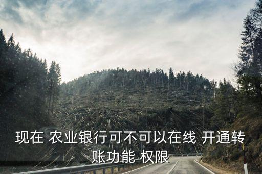 农业银行安全权限怎么开通