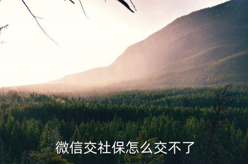 农业保险微信怎么缴费不了
