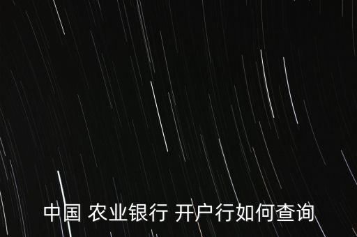 中国 农业银行 开户行如何查询