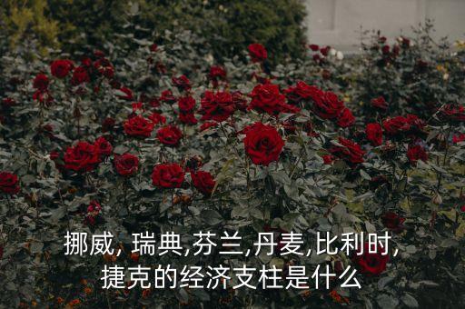 瑞典怎么种植农业,农业种植公司怎么注册