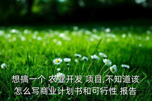想搞一个 农业开发 项目,不知道该怎么写商业计划书和可行性 报告