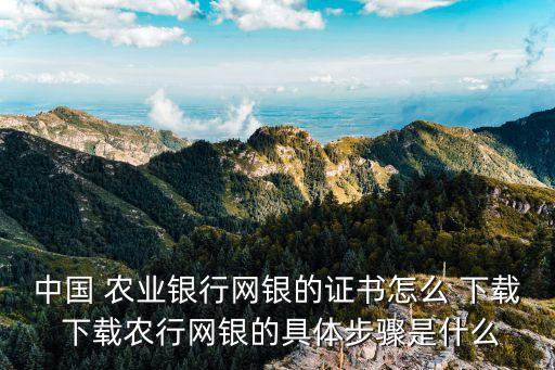 电脑转账农业银行怎么下载,农业银行电脑转账白屏