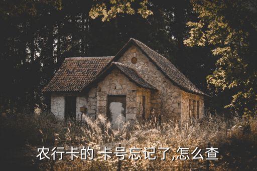 农行卡的 卡号忘记了,怎么查