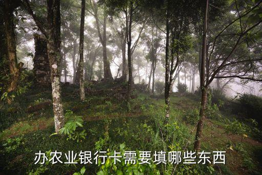 办理中国农业银行卡要什么,中国农业银行卡丢了可以异地办理吗