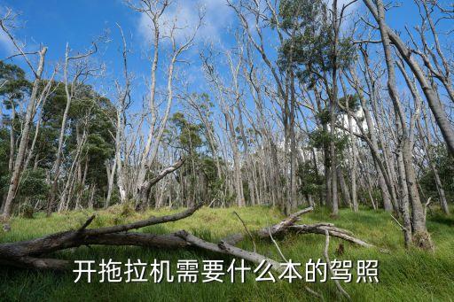 开农业机械需要什么证照