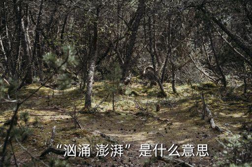 澎湃农业电话号码是什么,汹涌澎湃是什么意思