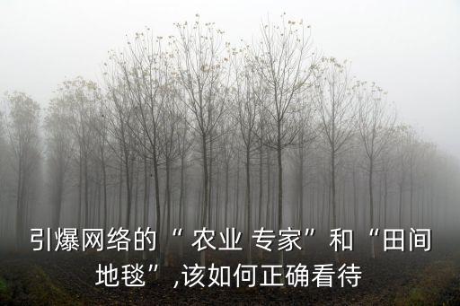 看农业专家怎么说话的,农业专家怎么找