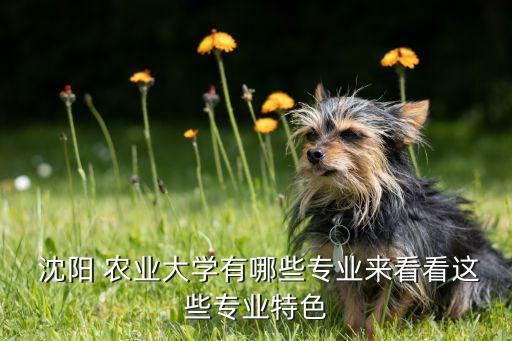  沈阳 农业大学有哪些专业来看看这些专业特色