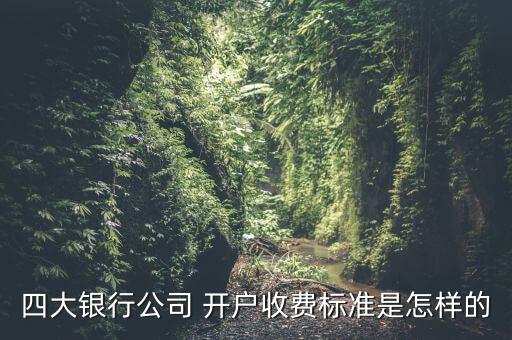 四大银行公司 开户收费标准是怎样的