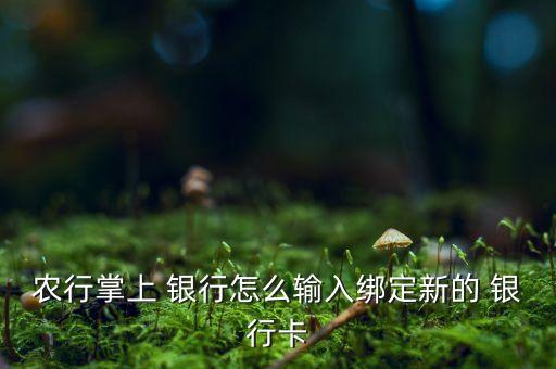 农业银行手机银行怎么加卡