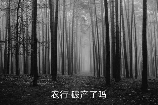 农业银行破产怎么办理的,手机农业银行怎么办理