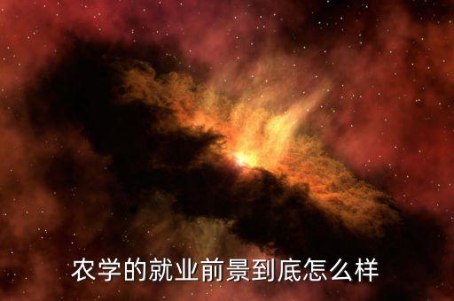 学农业怎么找工作好呢,学编程怎么找工作