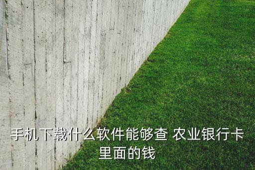 苹果怎么查询农业银行余额,农业银行可以查询别人的余额吗