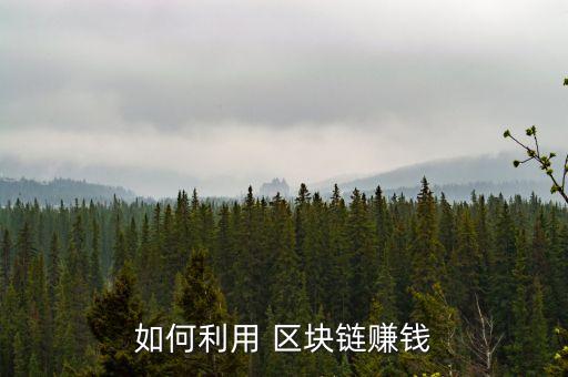 如何利用 区块链赚钱