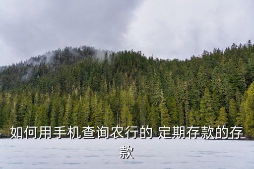 农业银行定期怎么网上操作,手机农业银行定期转活期怎么操作