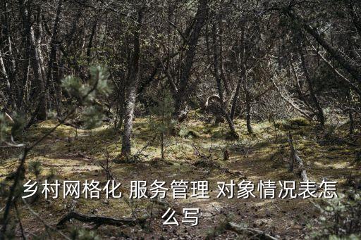 乡村网格化 服务管理 对象情况表怎么写