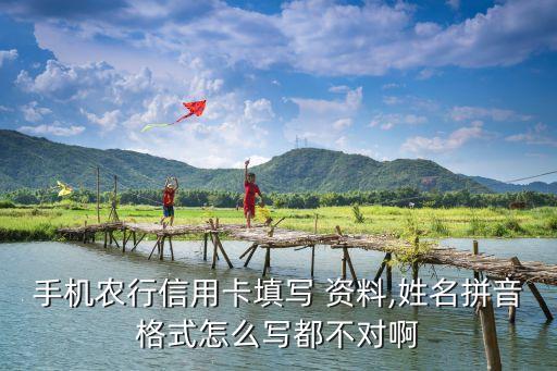 农业银行资料怎么填