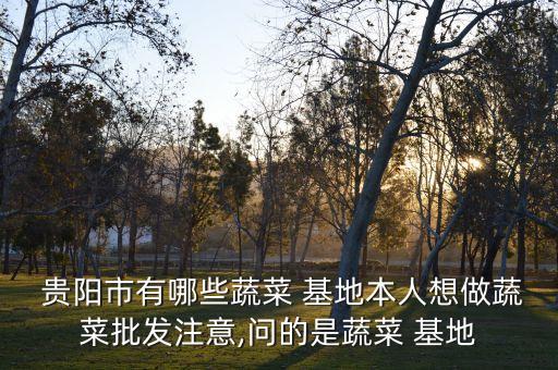 贵阳禾晟农业基地怎么样,贵阳贵荞农业基地简介