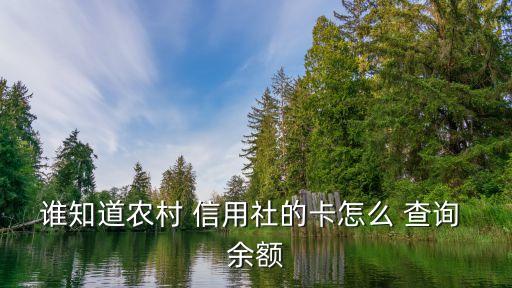谁知道农村 信用社的卡怎么 查询 余额