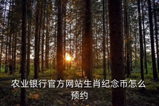 农业银行怎么可以预约,怎么可以成为农业银行的vip