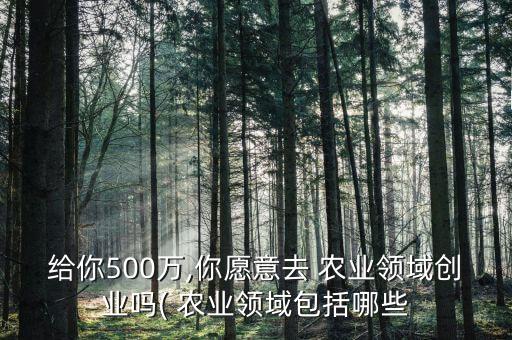 农业专家现在干什么好