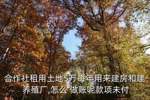 合作社租用土地5万每年用来建房和建 养殖厂,怎么 做账呢款项未付